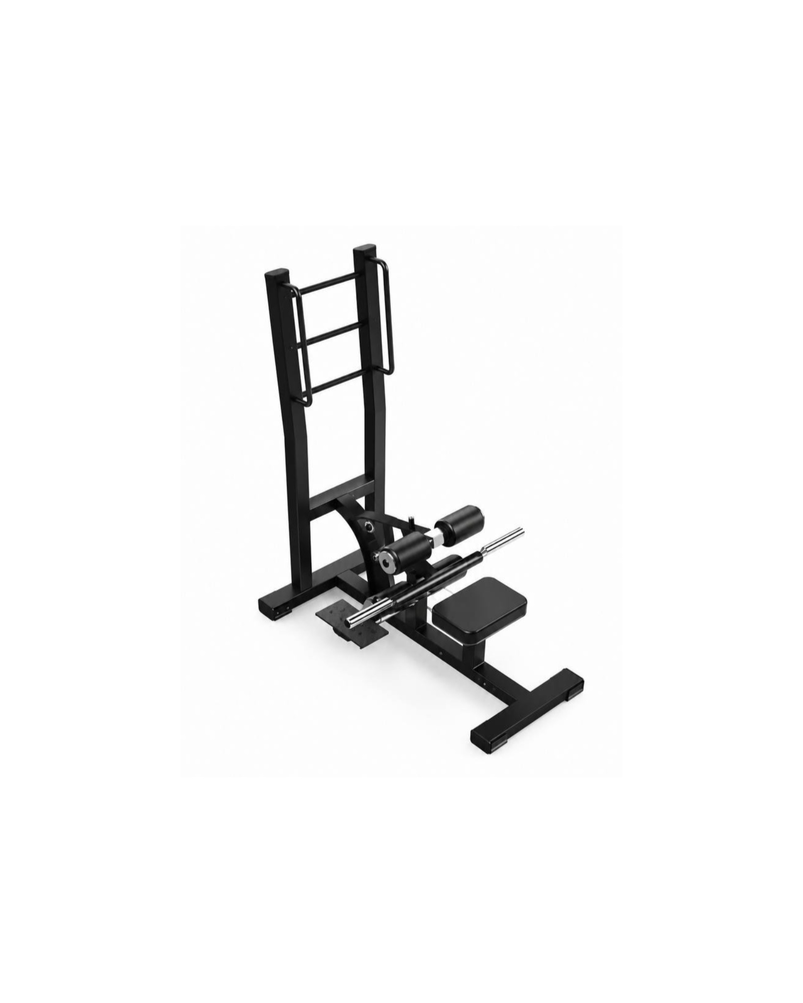 hip-thrust هیپ تراست