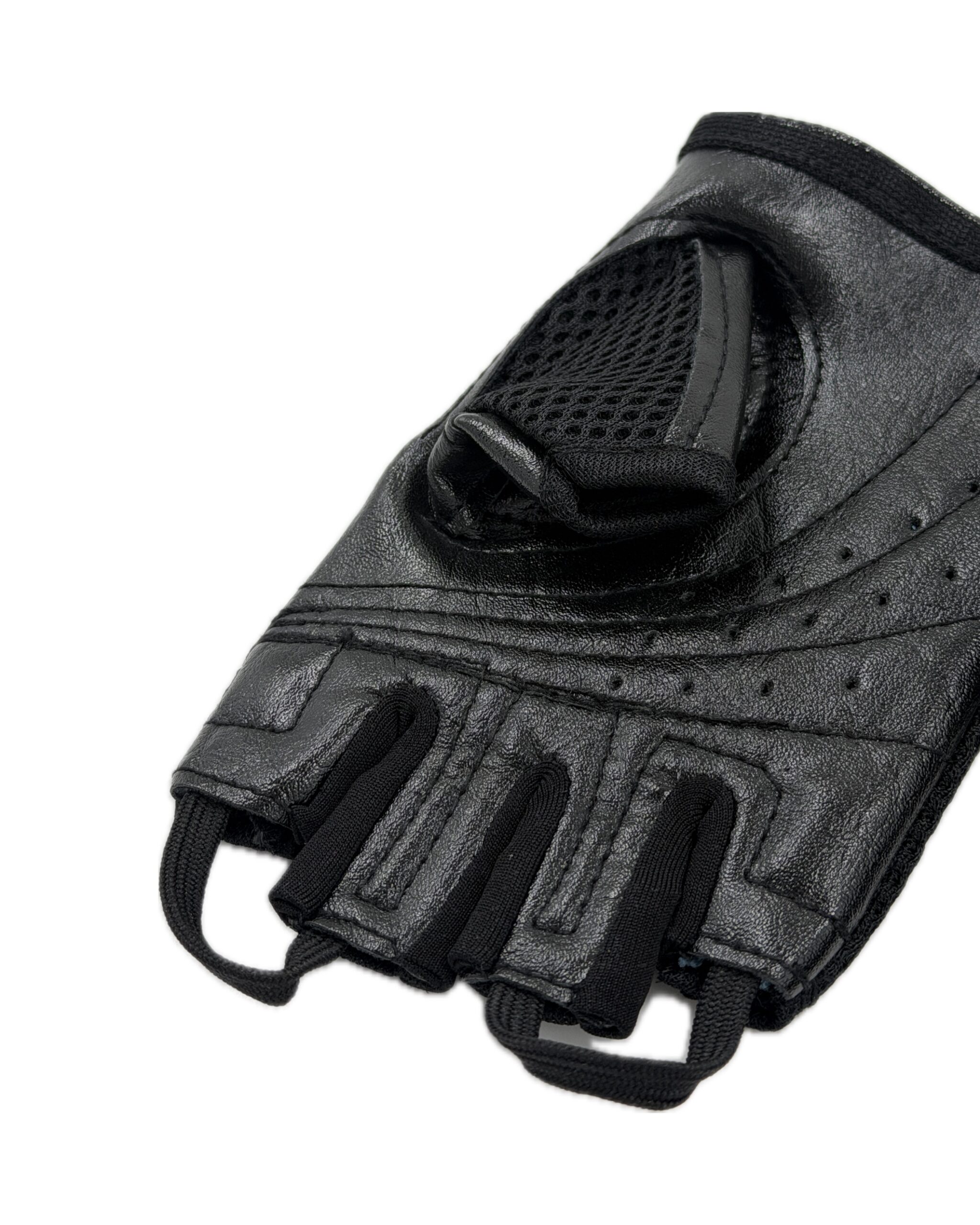 champex leather gloves (3) چرم چمپکس3